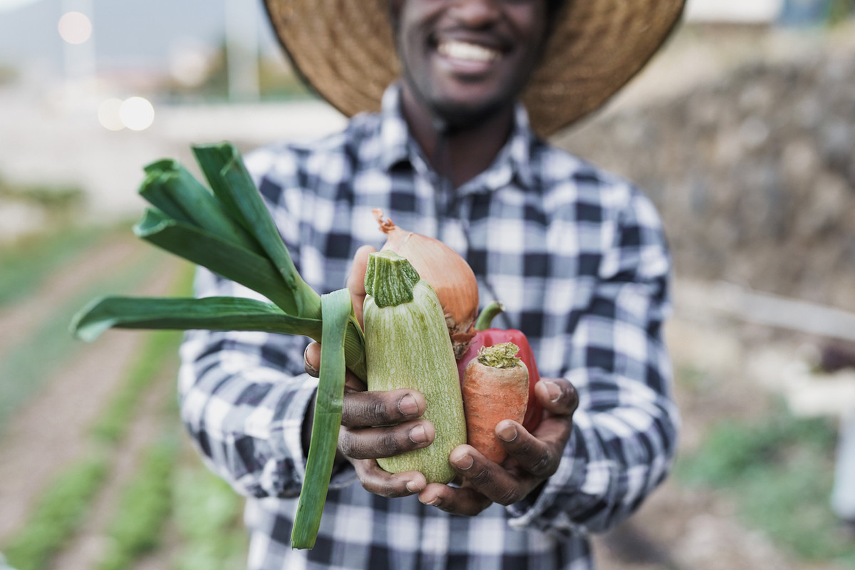 A farmer holding a variety of fresh vegetables